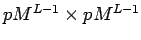 $ pM^{L-1} \times pM^{L-1}$